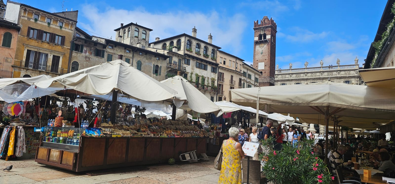 //synergyvrsi.com/wp-content/uploads/2024/10/Verona-4.jpg